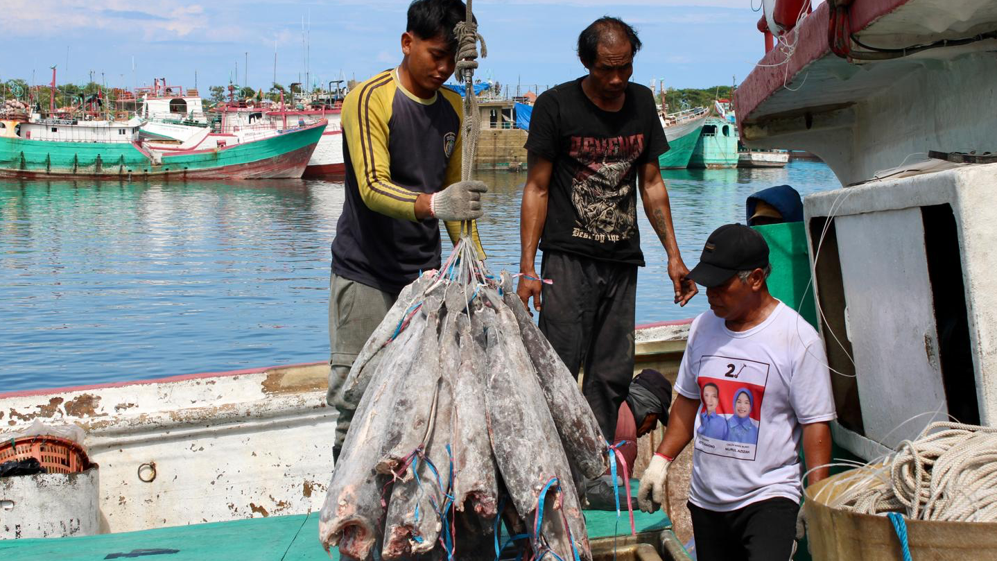 FISH Platform New Website Launched